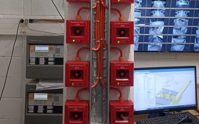 IMG_20220805_071002-min