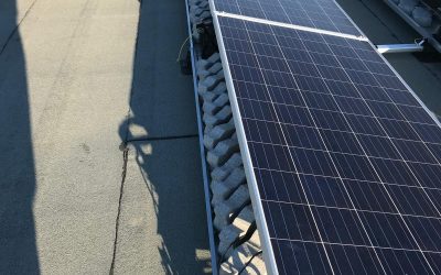 PHOTO-2025-02-27-16-14-32 (1)