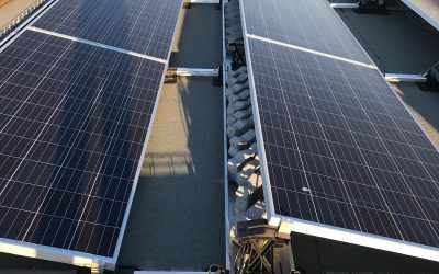 PHOTO-2025-02-27-16-14-32 (2)